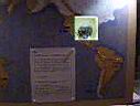 100_2001.JPG